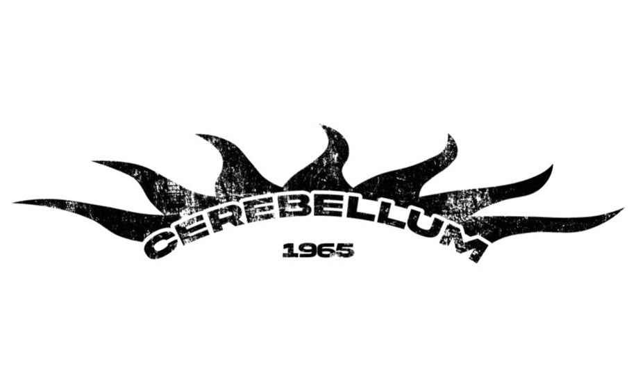 Cerebellum