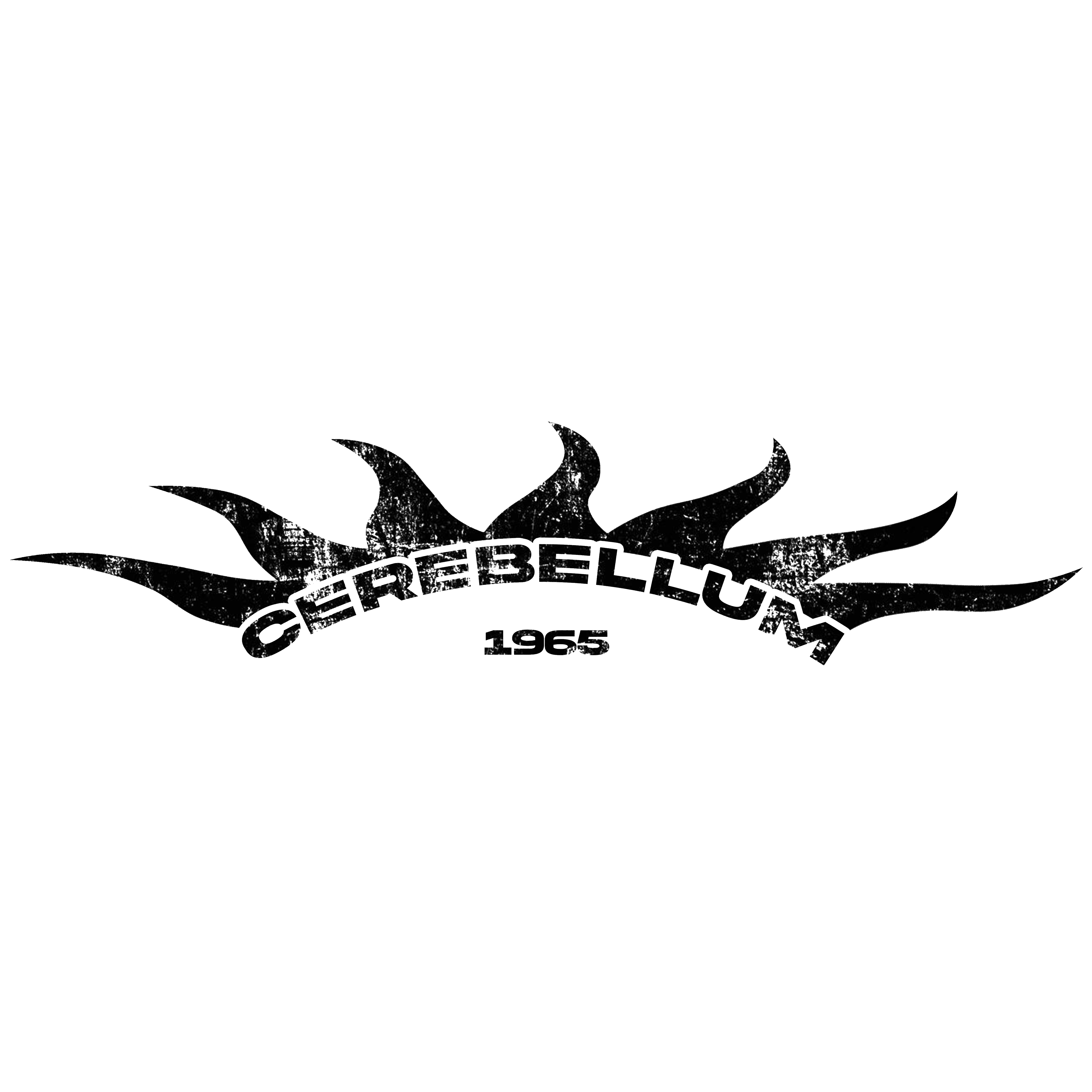 Cerebellum